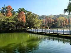 -西樵山风景名胜区-天湖公园