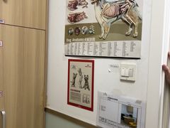 -宠福鑫康馨动物医院·骨科·眼科