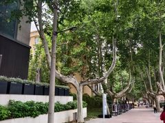 -西安电影制片厂