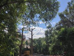 -黑龙江省森林植物园