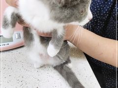 -美联众合动物医院·24h京西诊疗中心