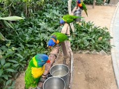 -南宫五洲植物乐园