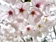 -徐家汇源景区-衡山公园