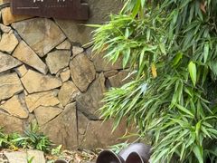 -远山有窑