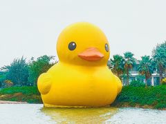 -深圳人才公园
