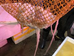-滨海新区远洋城菜市场