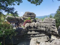 -梭布垭石林景区