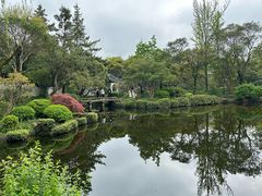 -秋霞圃