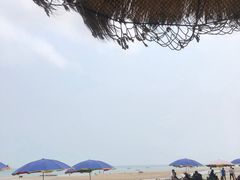 -贝壳沙滩