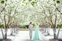 点击看大图 南大-戛纳印象摄影(潮拍定制馆)