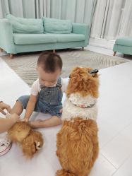 点击看大图 -同远QQBABY亲子摄影(北京路店)