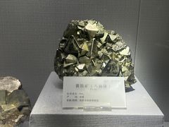 -湖南省地质博物馆