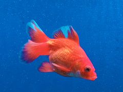 -上海动物园(地铁站)