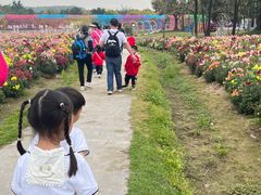 -广东花都香草世界旅游度假区