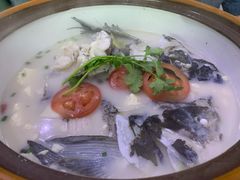 -全乐鱼馆·淳牌有机鱼直营店