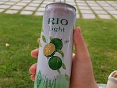 -深圳湾公园(南山区)
