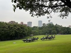 -广州雕塑公园