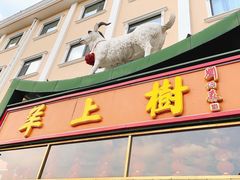 门面-羊上树(南门外店)