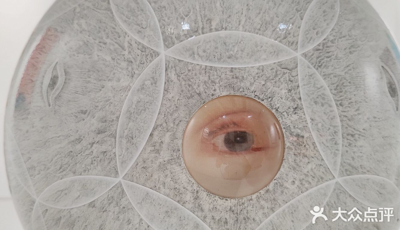 上海展览|内🈶活体生物请小心轻放🆘