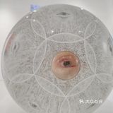上海展览|内🈶活体生物请小心轻放🆘