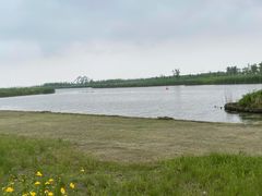 -春花秋色城市公园