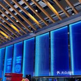 鱼酷家的老顾客了，今天点的依旧是它家的特色荔枝口味