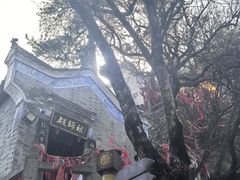 -塔云山