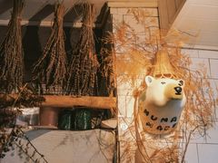 -野草莓自由市场