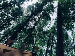 -南京金牛湖风景区