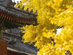 -承恩寺