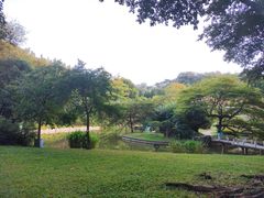 -广州雕塑公园