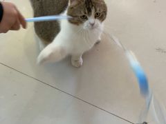 -平行世界·猫咖(首经贸店)