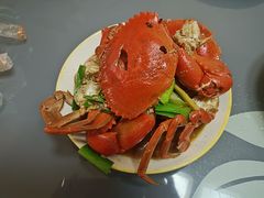 -天鹅到家·保姆月嫂育儿嫂(蔚蓝海岸店)