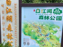 -广州白江湖森林公园