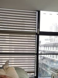 -苗方清颜·祛痘皮肤管理