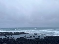-涉地可支
