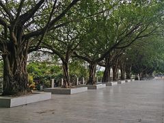 -黄埔古港