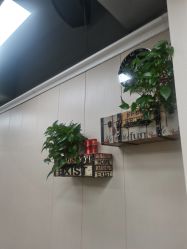 -卡木里发型工作室