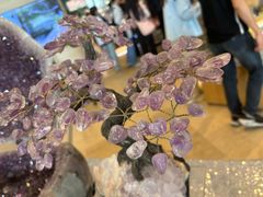 -重庆自然博物馆(新馆)
