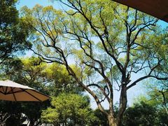 -杭州花家山庄