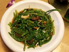 -老广酒楼(樱花店)