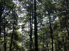 -西湖风景区十里琅珰-五云山