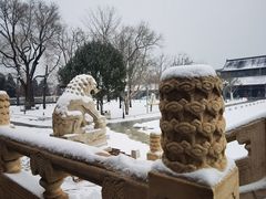 -国家图书馆·古籍馆