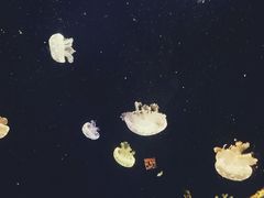 -台州海洋世界