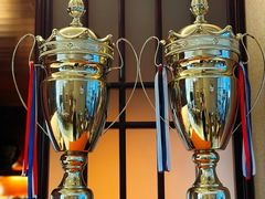 -天猫养车贴膜轻改·蓝电(优匹康桥东路店)