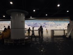 -世界之窗阿尔卑斯冰雪世界