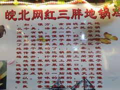 -武氏皖北网红三胖地锅鸡(桐城路店)