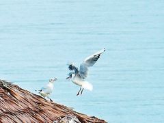 -铁路江上俱乐部