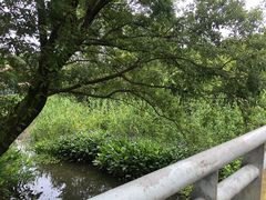 -西湖风景区-江洋畈生态公园