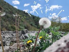 -叠溪松坪沟景区